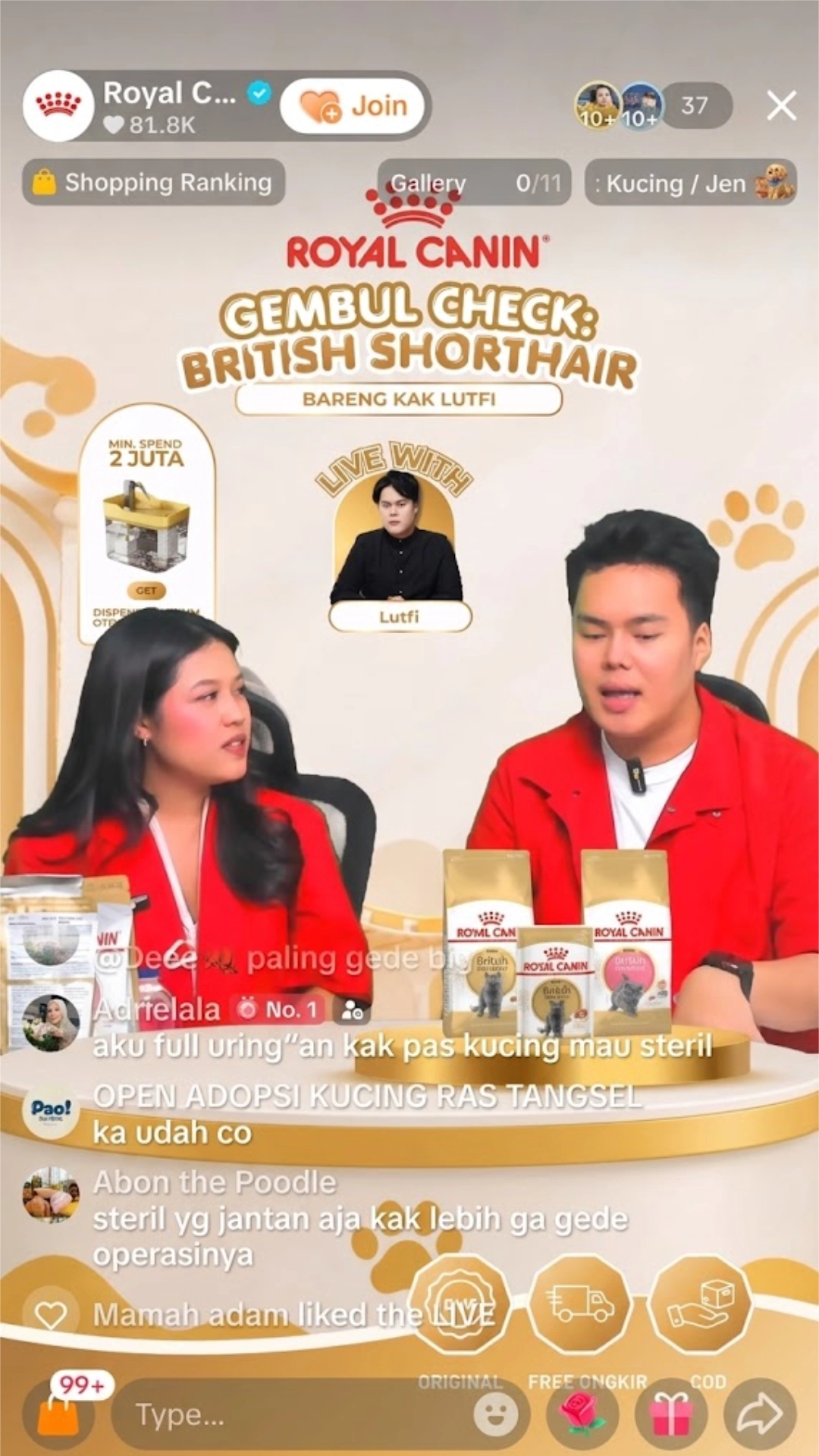 CBD Live Broadcast